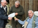 Kostanjev piknik OZVVS Gornja Radgona 9. 10. 2026
