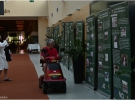 OZVVS Gornja Radgona razstavlja v Hotelu Radin 