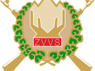 ZVVS