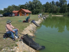 Memorial Franca Zemljiča v ribolovu - udeleženci