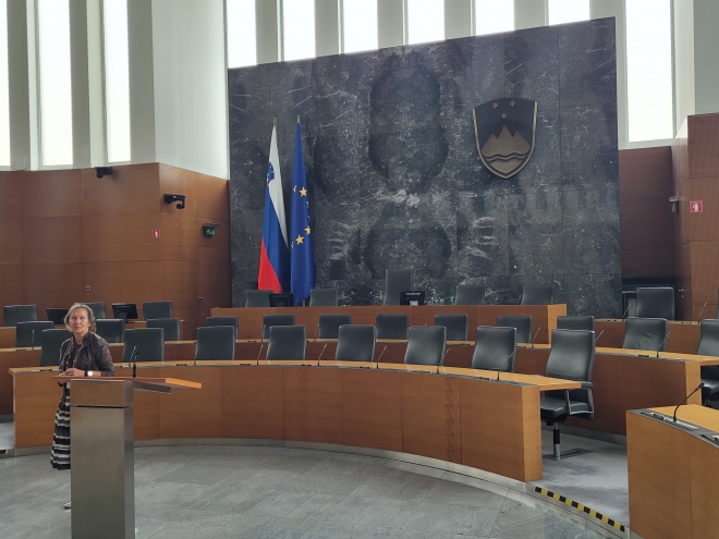 Veterani OZVVS Gornja Radgona v Ljubljani