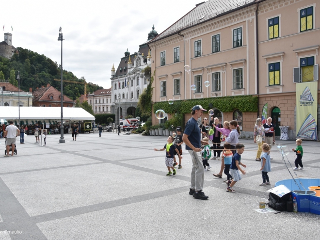 Veterani OZVVS Gornja Radgona v Ljubljani
