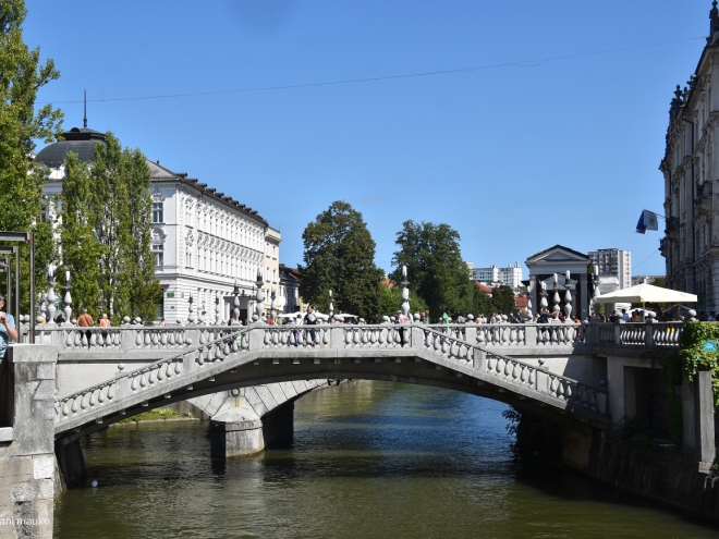Veterani OZVVS Gornja Radgona v Ljubljani