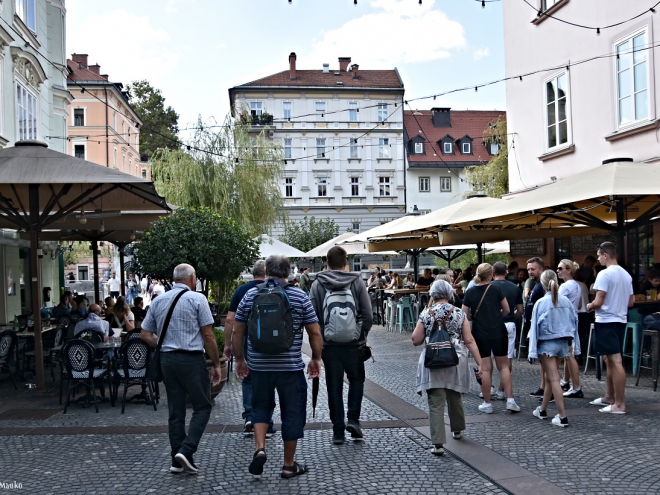 Veterani OZVVS Gornja Radgona v Ljubljani
